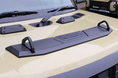 スパルタンなボンネットに