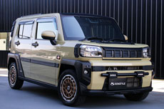 セルフマイナーチェンジ