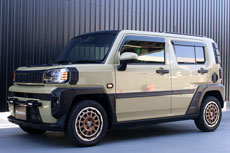 スパルタンなリアビュー